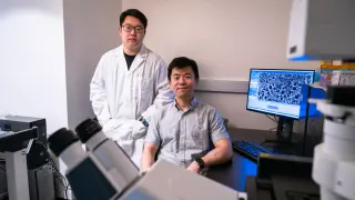 RNA-tRNA therapy aims to bypass stop signals to treat multiple genetic diseases