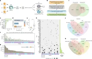 SLE Neutrophils Generate Novel Neoantigens via Aberrant Splicing, Driving Autoimmunity