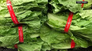Massachusetts sees 147 cyclosporiasis cases as U.S. outbreak expands