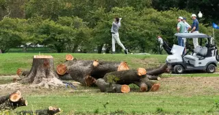 Judge Ana Reyes Halts D.C. Golf Course Tree Removal After Weekend Blitz