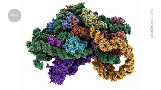 Cell-Free Systems Accelerate Protein Engineering and Biosensor Development