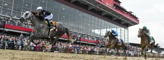 Preakness 2026: Iron Honor favorite as Derby winner sits out; Demling's bold longshots
