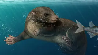 120-Million-Year-Old Fossil Reveals Mammal with Reptile-Like Teeth and Platypus Feet