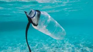 Living plastic with a built-in kill switch can self-destruct on command