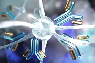 Nitrosyl Switch in STING Fuels Alzheimer’s Brain Inflammation