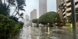Honolulu shifts to cleanup mode as Lala departs, outages and closures linger
