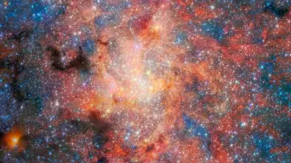 Water and Dust Survive Near the Milky Way's Supermassive Black Hole, JWST Finds