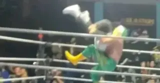 Mexican Wrestler Detained After Fatal Piledriver Kills 75-Year-Old Referee