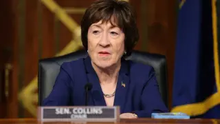 Collins labels likely challenger a Bernie Bro in Maine Senate race