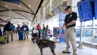 25 Years On, 9/11's Echoes Reshape Security, Policy, and Pop Culture