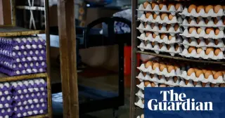 FDA upgrades egg recall to Class I amid nationwide salmonella outbreak
