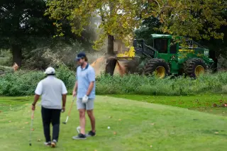 Federal judge halts tree removal at East Potomac Golf Links after preservationists report over 500 felled