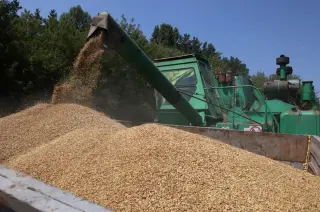 EU Neighbors Reject Ukraine’s Grain Transit Plea Amid Black Sea Blockade