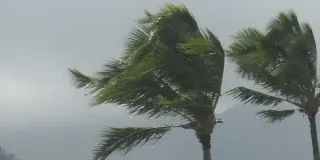 Nolo Intensifies: Hawaii Island Cancellations Mount as Storm Threatens Major Hurricane Status