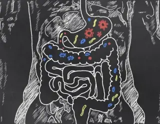 Plant-based diets rewire gut microbes to boost beneficial metabolites