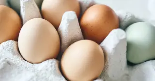 Massive Texas Egg Recall Impacts Kroger, Brookshire's