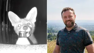 Glasgow doorstep fox Busted: Milk Thief Caught on Cam