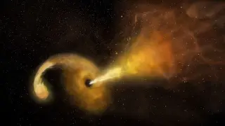 Wandering black hole tears apart star, flashing UV flare at galaxy's edge