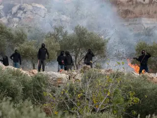 West Bank olive harvest violence escalates with new settler assault on activists