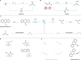Thianthrenium Salts Enable Safe, Versatile Cyclopropanation via Iron Catalysis