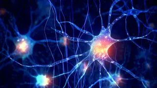 Gel turns brain support cells into neurons, hinting at Alzheimer's therapy but still early-stage