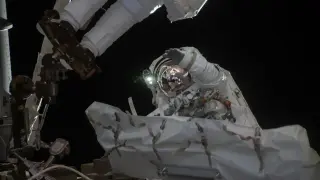 Two NASA Astronauts Set to Repair ISS Robotic Arm in Live Spacewalk