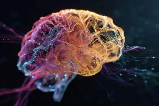 Learning Begins at a Single Brain Synapse in Songbirds