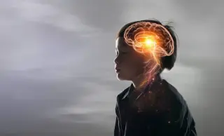 Newborn Brain Isn’t Blank: Early Wiring Is Pruned Into Adult Structure