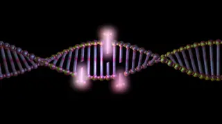 Peptides win FDA panel ok, CRISPR tragedy raises ethics questions, insulin supply tightens biotech spotlight