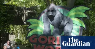 White House posts unusual Harambe tribute on 10th anniversary