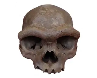 Denisovan DNA Reveals Unknown Hominin Ancestor From 1.8 Million Years Ago