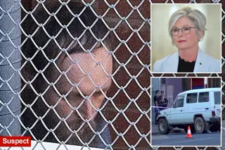 Australian MP Helen Haines Loses Both Legs After Deliberate Vehicle Attack in Wangaratta
