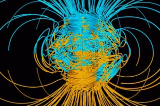 Removing Earth's Magnetic Field Extends Lifespan in Parkinson's Flies but Hurts Healthy Ones