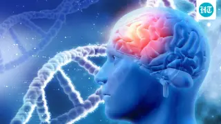Neurologists debunk the 8-hour sleep myth and warn against daily alcohol for brain health