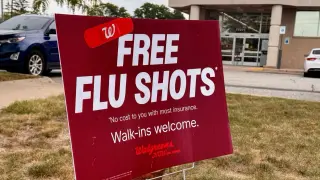 New evidence-based vaccine hub pairs updated flu, COVID-19 and RSV guidance