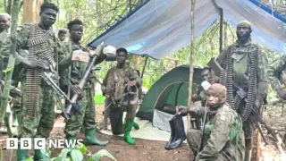 Ugandan-Congolese forces rescue 200+ civilians from IS-linked ADF camp in DR Congo