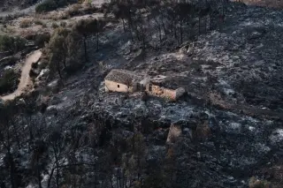 Southern Spain Battles Deadly Wildfires as Toll Climbs to 12