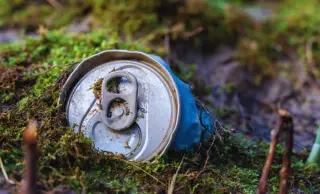 Hikers Uncover Hidden Cache: 598 Gold Coins Hidden in a Can in Czech Forest