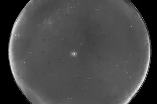 Study Confirms Earth-Sized Worlds Can Orbit in Nearby Binary System 70 Ophiuchi