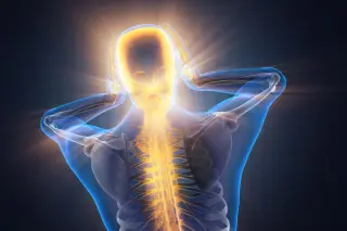 Researchers identify dedicated brain circuit fueling chronic pain
