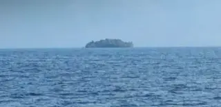 Forest Island Emerges on BC Reservoir, Then Vanishes