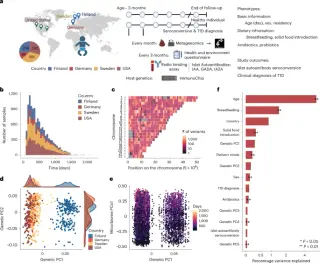Early-life gut microbiome trajectories plus genetics predict type 1 diabetes risk