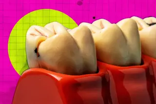 Tooth Regrowth Nears Human Trials as Toregem Secures Funding