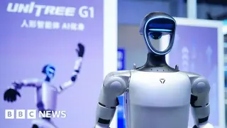 Unitree's IPO Sparks Surge in China's Humanoid Robotics