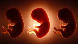Dad’s Preconception Diet Linked to Baby’s Early Body Traits