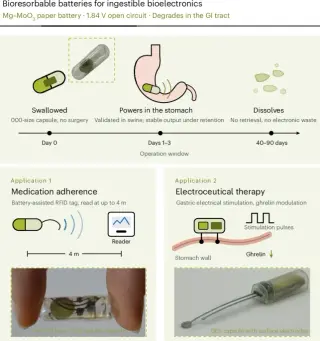 Bioresorbable Mg–MoO3 battery enables transient ingestible electronics in the GI tract
