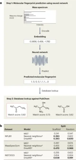 When ML Meets LC–MS/MS: Generalization Gaps in Small-Molecule Identification