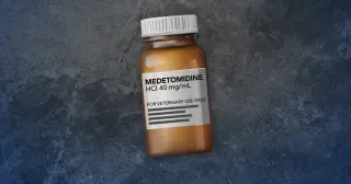 Medetomidine fears rise as it infiltrates NC street drugs