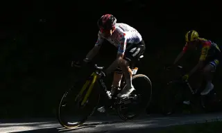Vingegaard Crashes Out of the Tour, a Stark Reminder of Pro Cycling's Brutality
