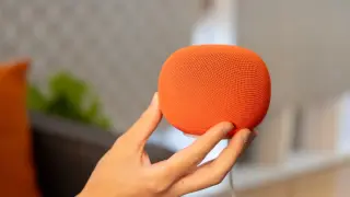 Google Home Speaker Firmware Glitch Drains Data in Some Homes